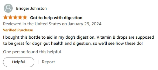 Vitamin B Drops Boost Dog Digestion & Gut Health